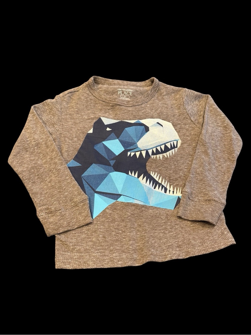 The Childrens Place Dino Graphic Thermal Shirt